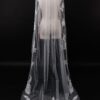 Veil 001-1