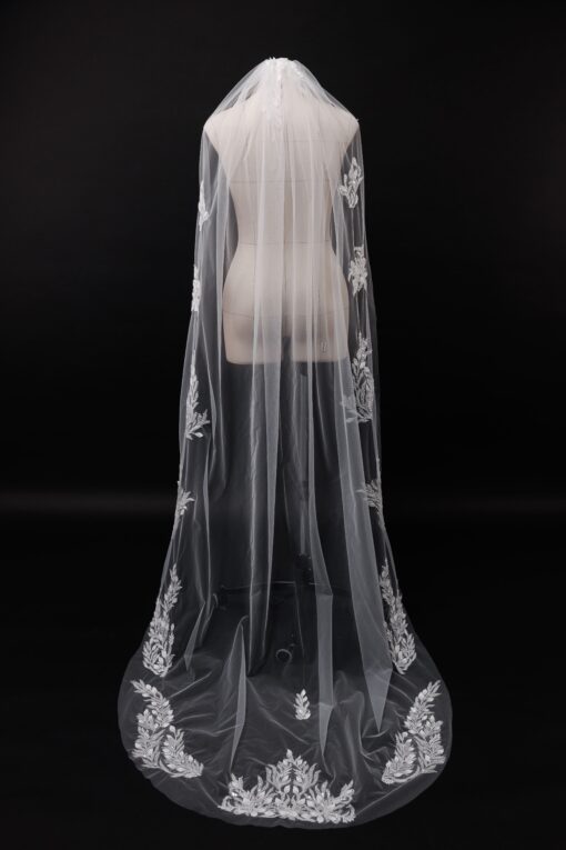 Veil 001-1