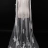 Veil 002-1