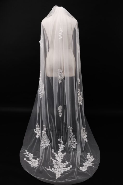 Veil 002-1