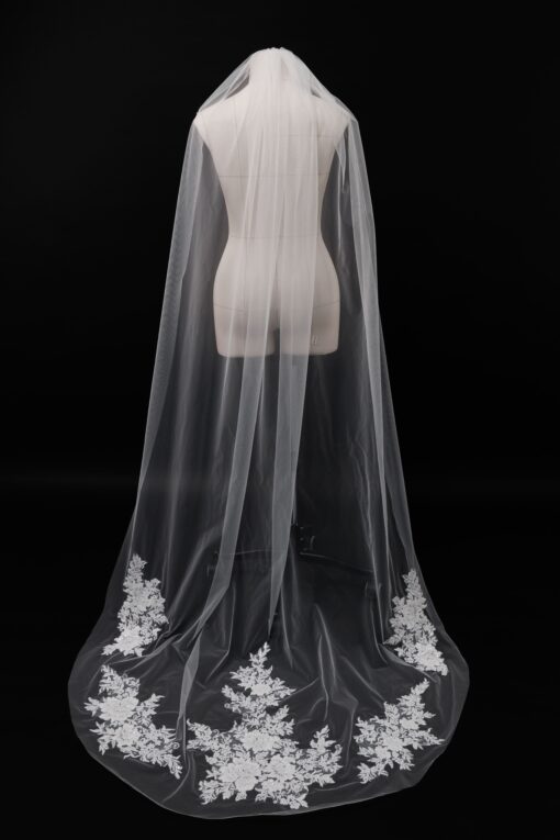 Veil 003-1