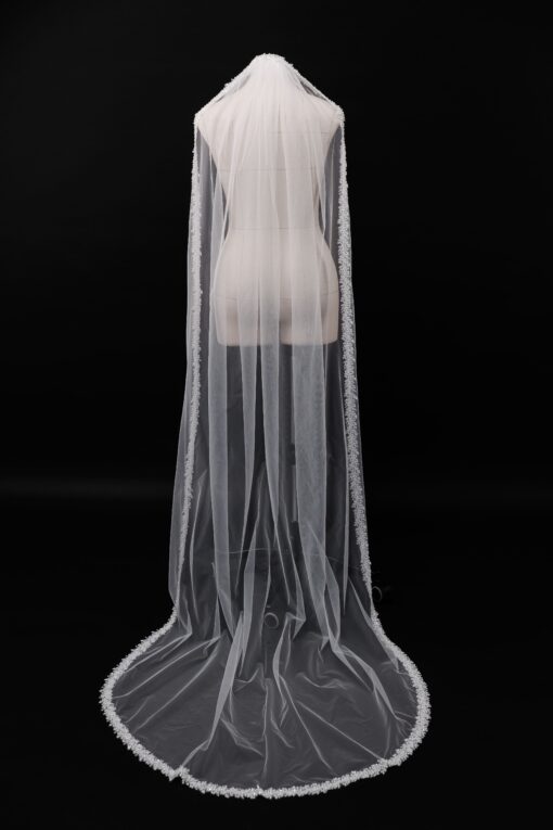 Veil 008-1
