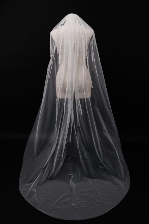 Veil 009-1