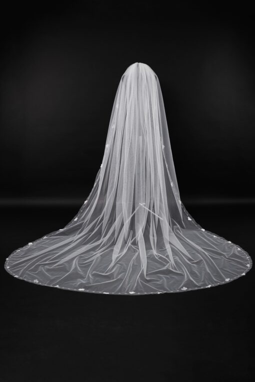 Veil 014-1