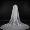 Veil 016-2