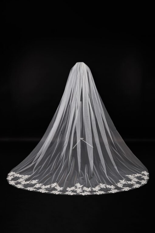 Veil 021-1