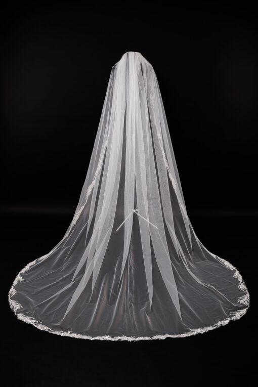 Veil 022-1