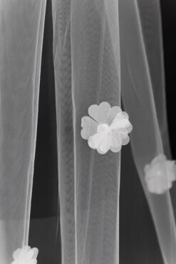 Veil 023-4