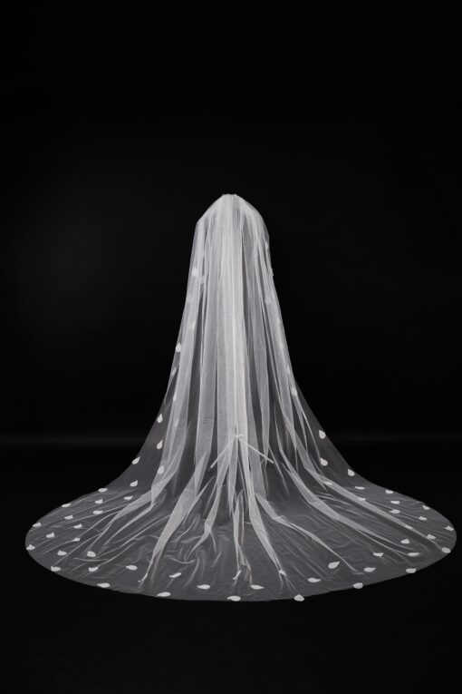 Veil 024-3