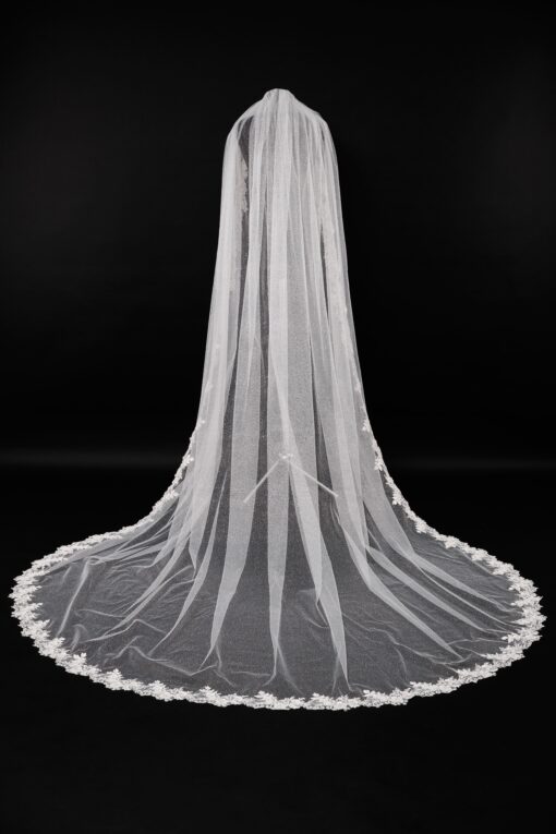 Veil 031-1