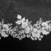 Veil 031-2