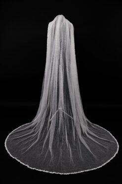 Veil 049-1