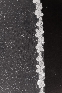 Veil 049-2