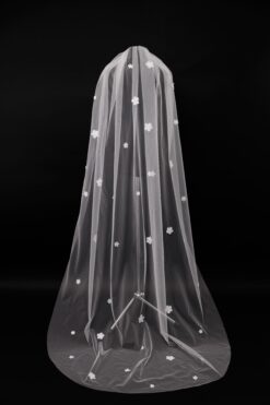 Veil 050-1
