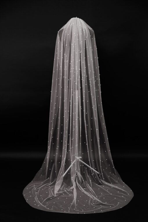 Veil 051-1