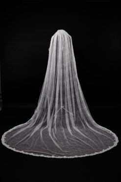 Veil 054-1